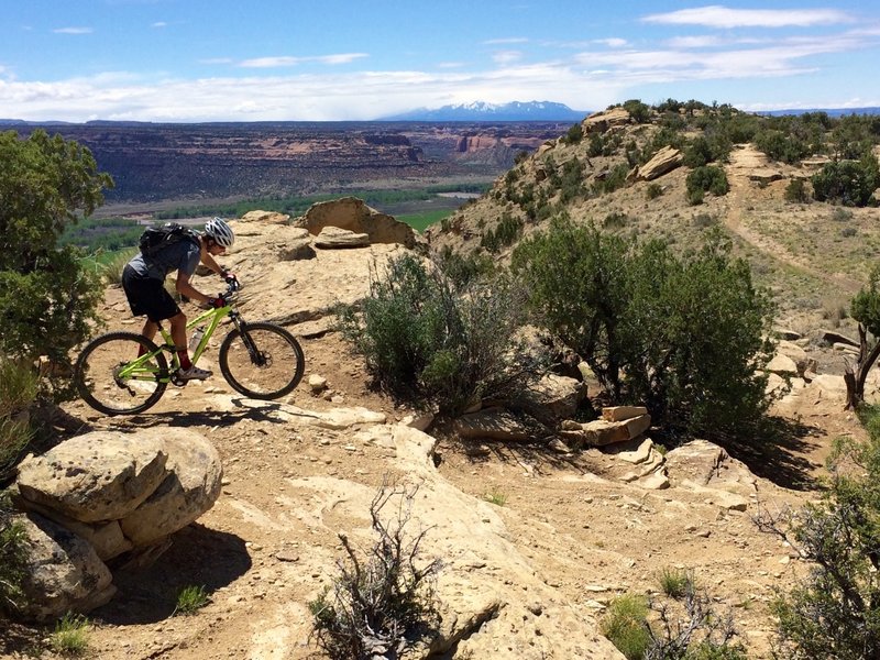 Views of the La Sal range near Moab