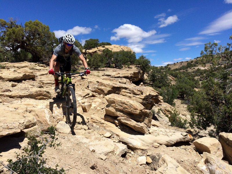 Tricky section of the Arch Loop