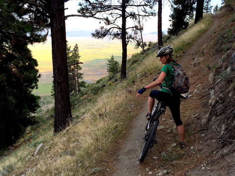 Taking a break from the long climb to admire the wildflowers and view of Carson Valley below.