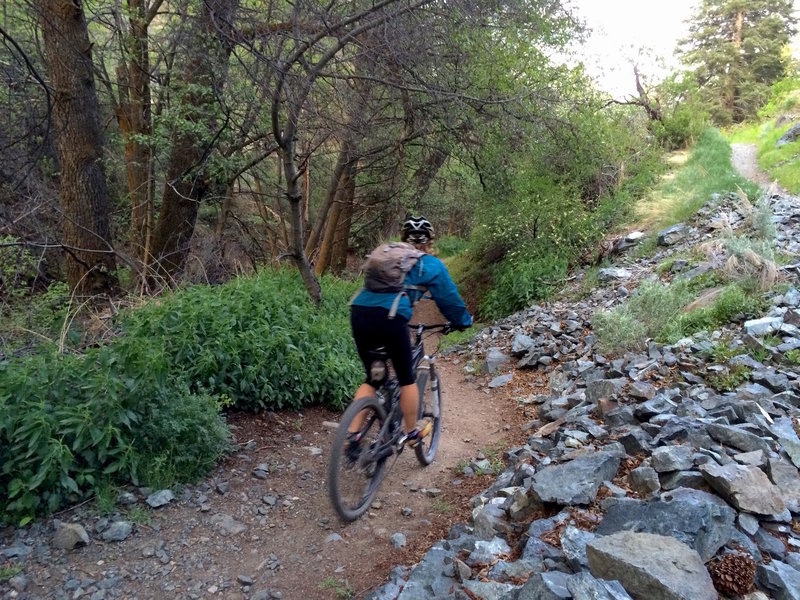 End of ride - just before the last creek crossing.