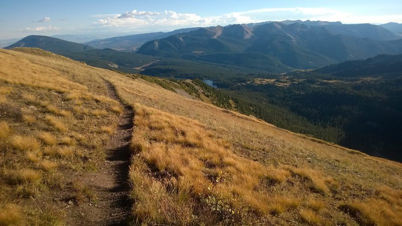 Alpine singletrack on Trail 419