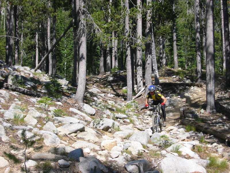 Picking through the rocks on the East Fork.