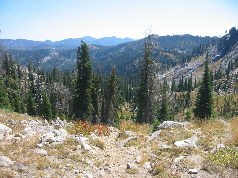 Looking back down into the Kennally Drainage.