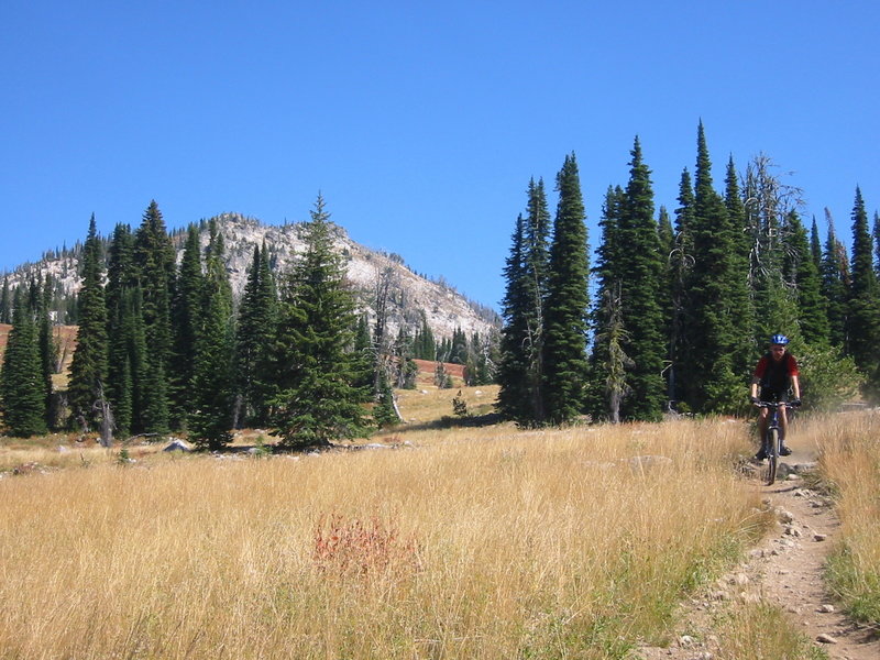 Mountains and meadows.