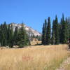 Mountains and meadows.