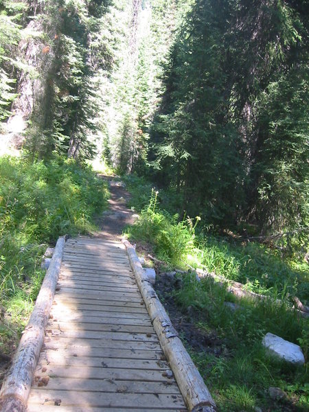 Bridge over the muck