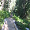 Bridge over the muck