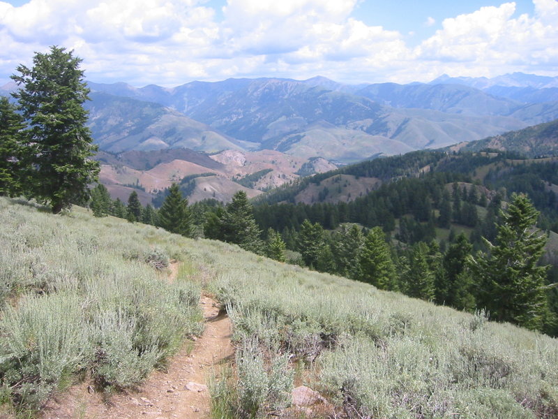 Looking down into Adams Gulch