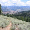 Looking down into Adams Gulch