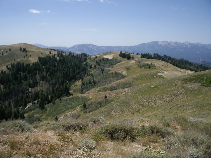 Looking down into the North Fork