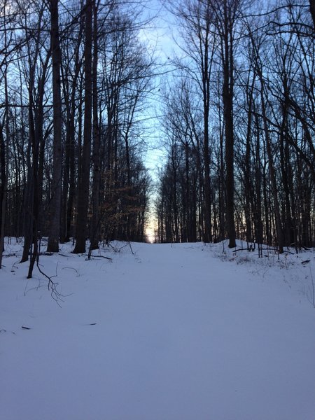 Browning run first tracks early evening in the snow