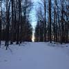 Browning run first tracks early evening in the snow