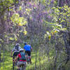 Making the connection to Sidewinder trail from Azalea Falls trail.