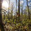 Flowing singletrack can be found on South Bench Loop trail.