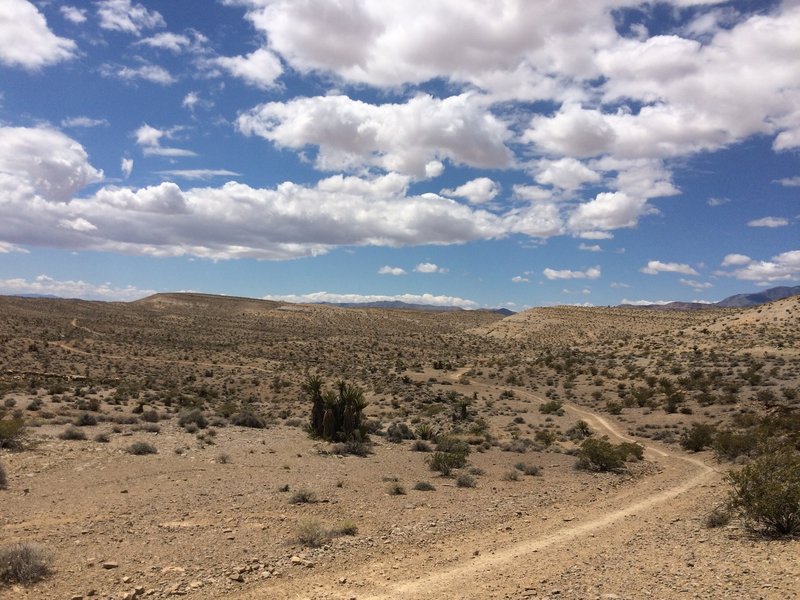 Looking south just before Man with a Van Trail.