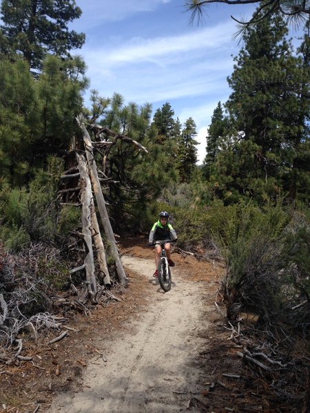 Coming out of the woods on the Clear Creek Trail.