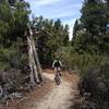 Coming out of the woods on the Clear Creek Trail.