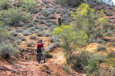 Riding Hawes Pig Trail