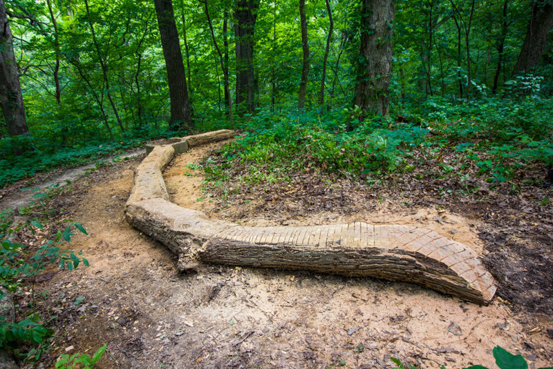 40' log ride.