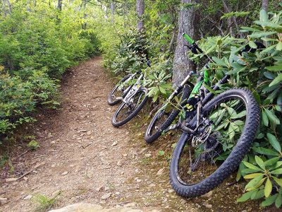 Almost to the top of this steep section.  (Look at the trees which show the grade)