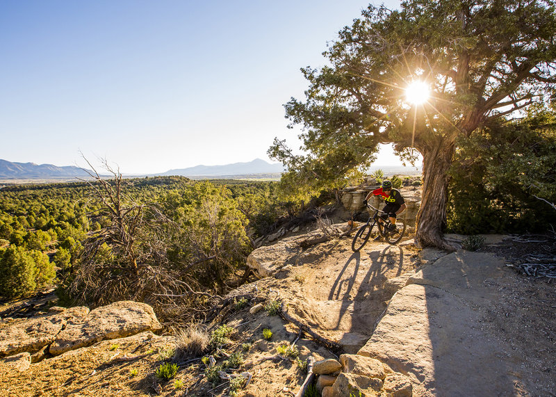 Catch some great views and a little bit of exposure at Abajo Overlook.