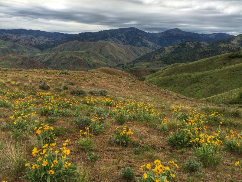 View from top of Willow Creek trail.