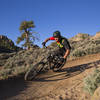 Railing berms on Collarbone Alley trail.