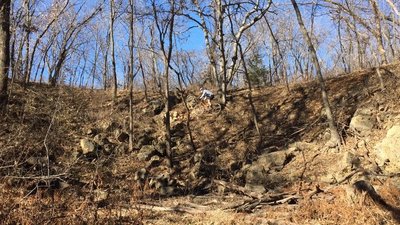 Riding around the bowl!