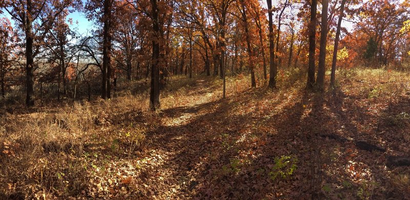 Beautiful ride in the fall