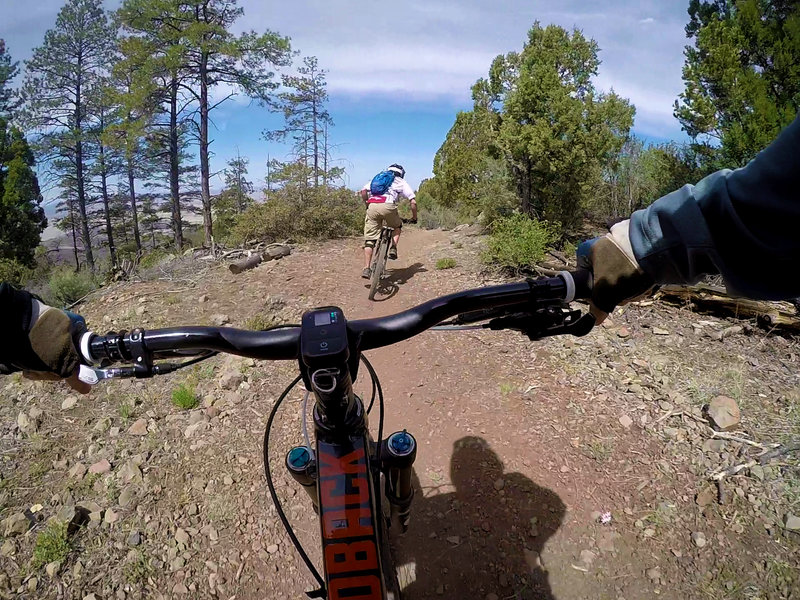 Mingus Mountain Shuttle Mountain Bike Trail Verde Village Arizona