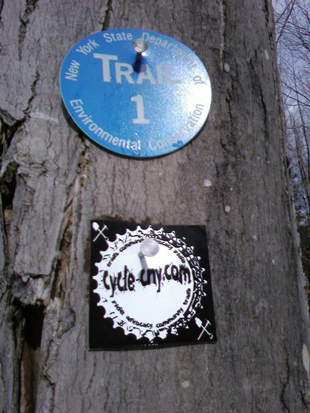 Trail marker - Blue #1