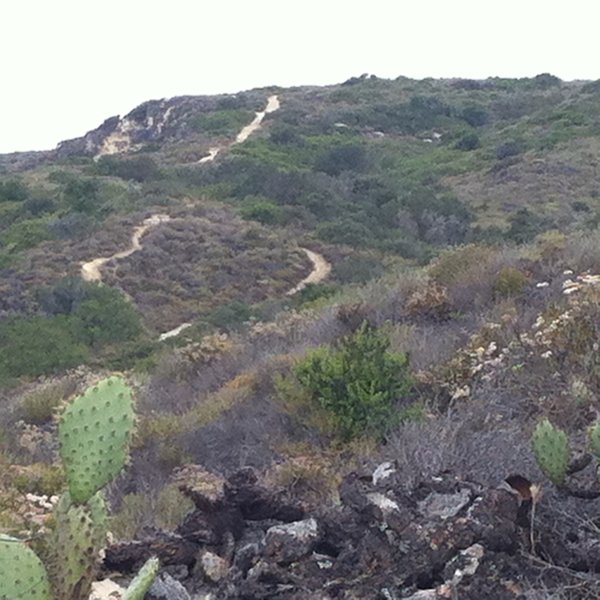 Car Wreck Trail as seen from Mathis Canyon Trail