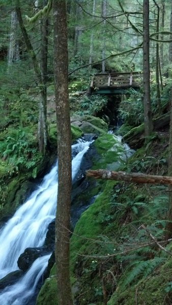 Bridge over Horseshoe Creek falls at mile 4.9