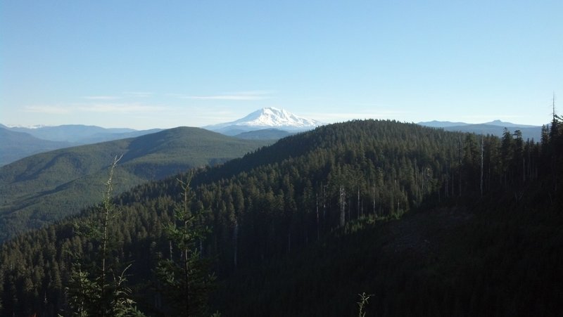 Mt Adams at mile 13.3