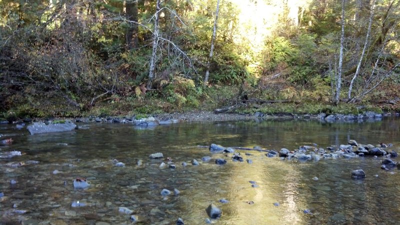 Siouxon Creek crossing at mile 20.