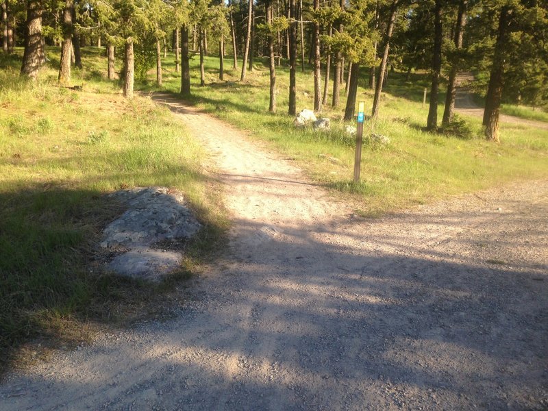 Cross the service road and continue on the singletrack.