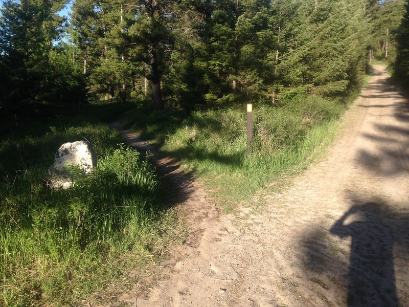 Hang a left at this sign for the Family Trail.