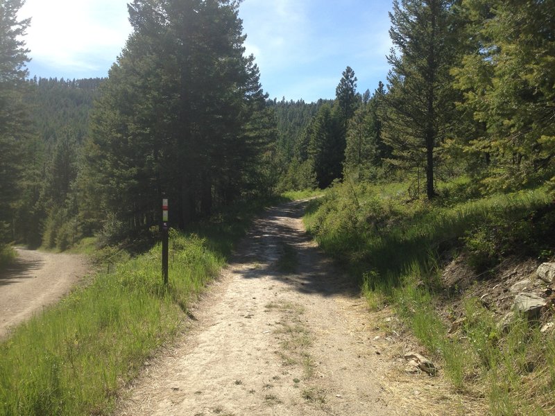 Beginning of the Overlook climb.