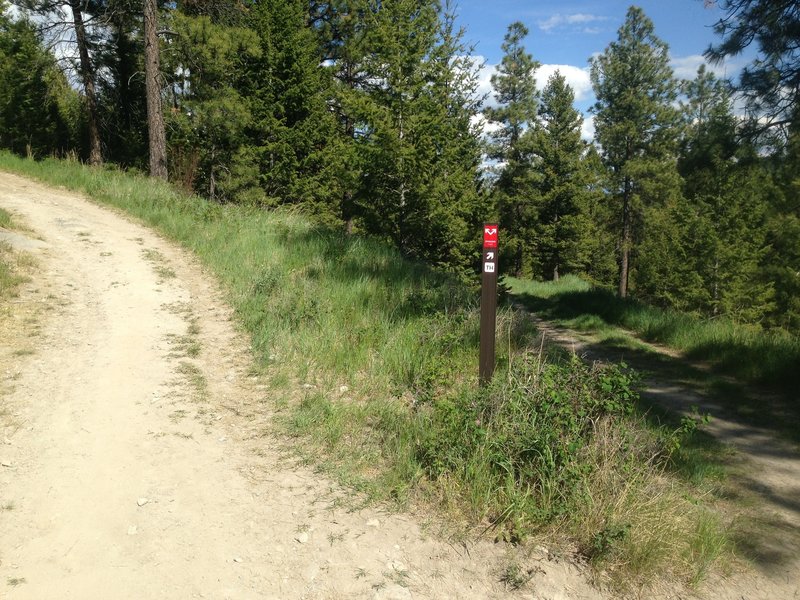 Intersection of the Overlook Trail and the Overlook doubletrack trail. Uphill = Notch = Fun