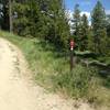 Intersection of the Overlook Trail and the Overlook doubletrack trail. Uphill = Notch = Fun