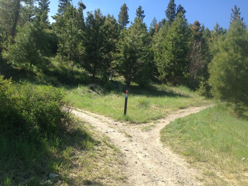 Overlook splits with cheater's route to Notch to the right or a fun bunch of singletrack switchbacks up to the Notch Overlook.