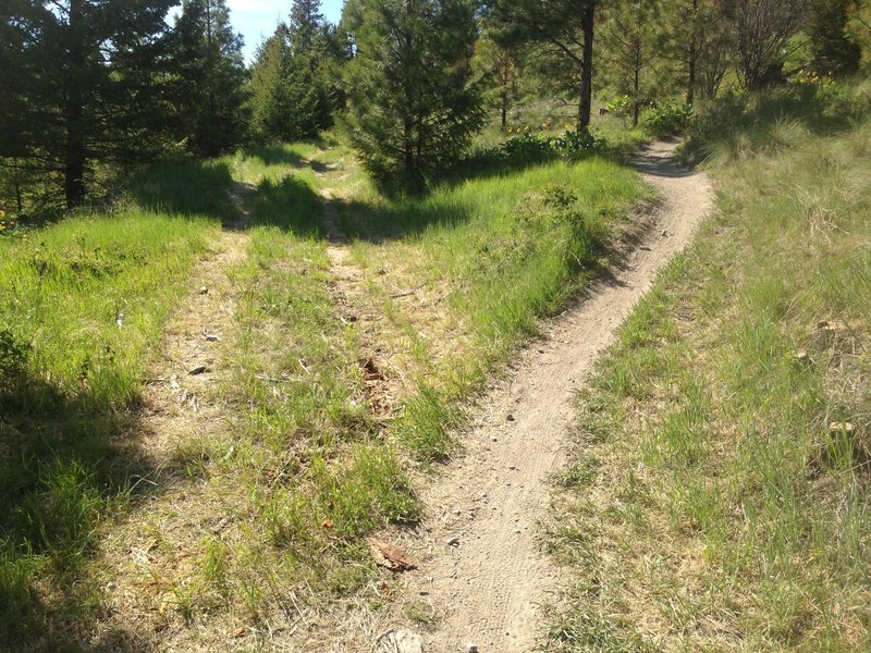 Switchbacks begin to the right.  Countdown the 9 then savor the downhill.