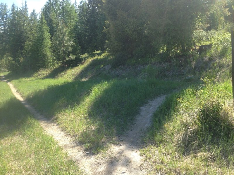 Turn here to continue the Horse Trail to the Plum Creek Rd.