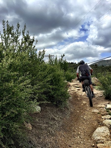 Riding under the phone lines on Trail #332