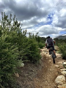 Riding under the phone lines on Trail #332