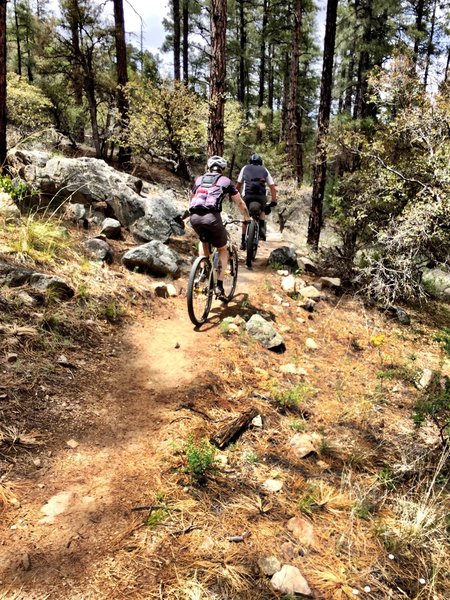 Rocky outcrops along Trail #332