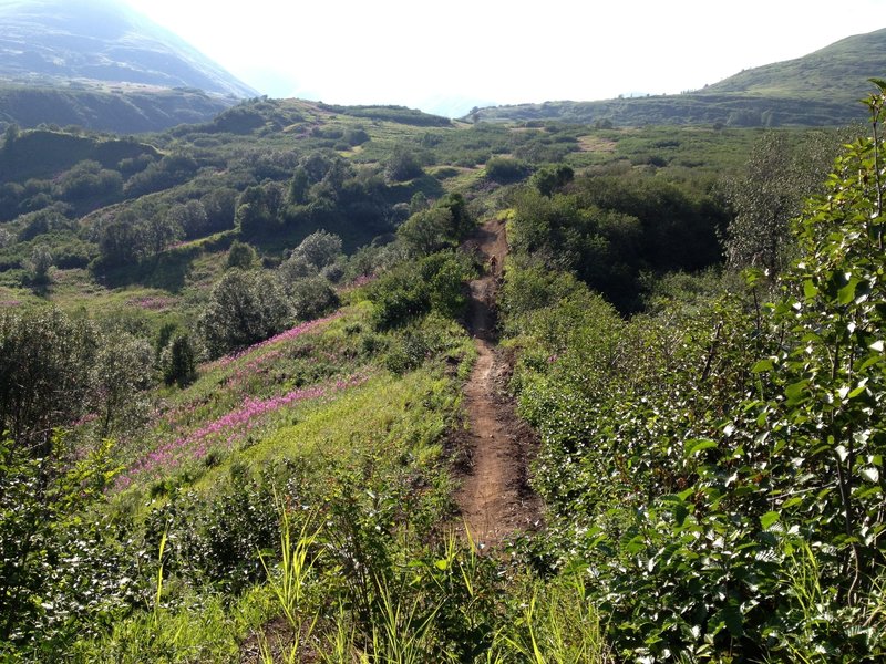 Super fast spine line between salmon ladder berms and lower flow section.