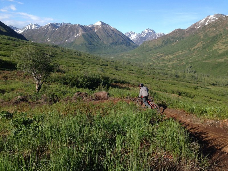 Middle Section of Mile 16 Downhill.  Early June 2014.