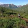 Middle Section of Mile 16 Downhill.  Early June 2014.