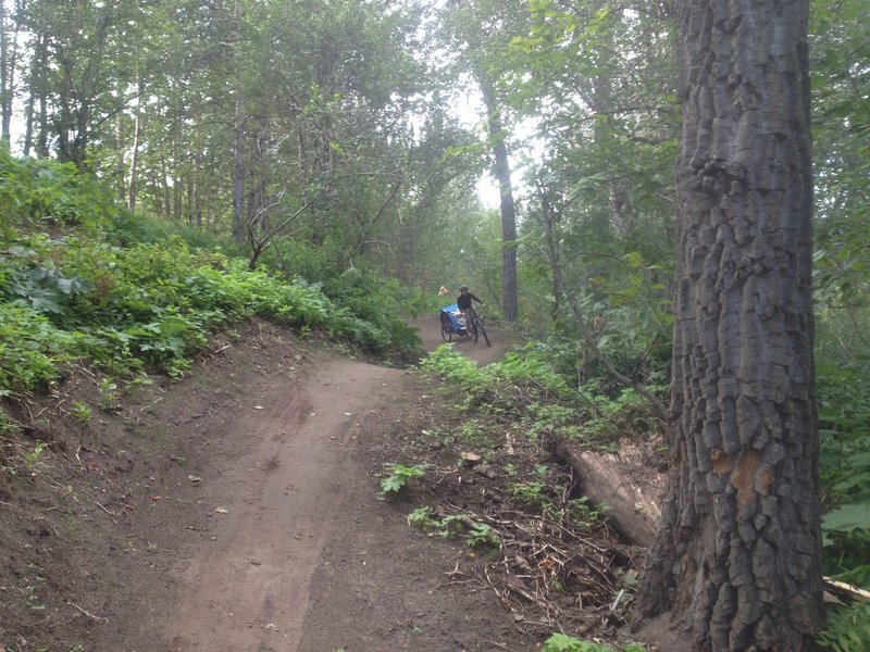 The flow trail at Palmer Bike Park is easy enough for parents with trailers, but challenging enough that skilled riders can rip the trail with no brakes, air the rolls, and lay it over in the berms.